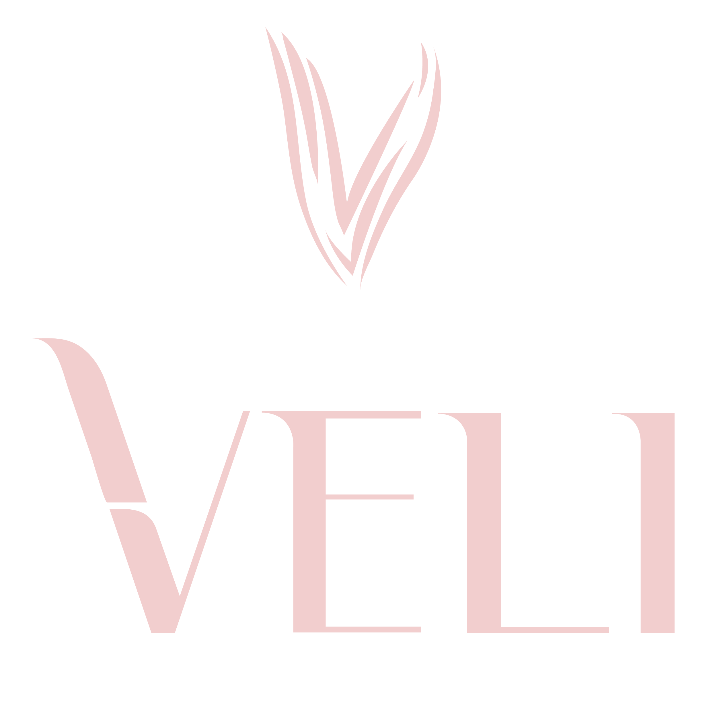Veli Store